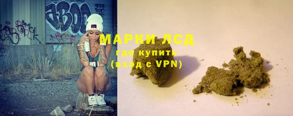 крисы Касимов