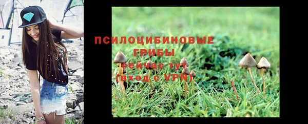 mdma Карталы