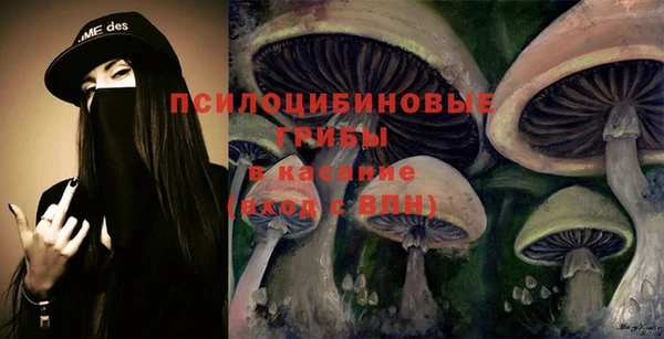 мескалин Карпинск