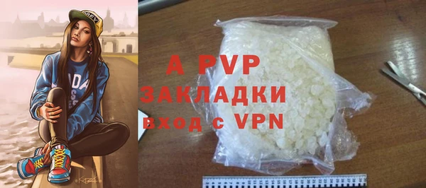 крисы Касимов